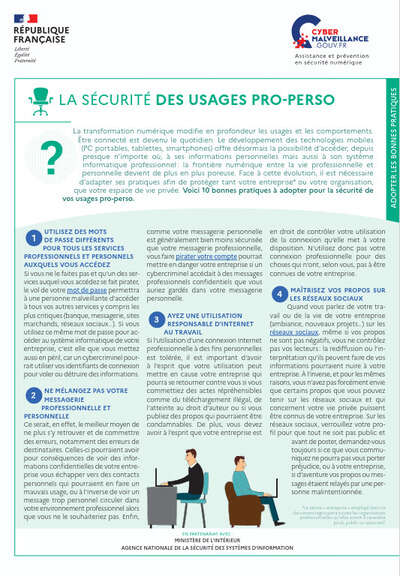 Les usages pro-perso